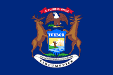 Michigan Flag